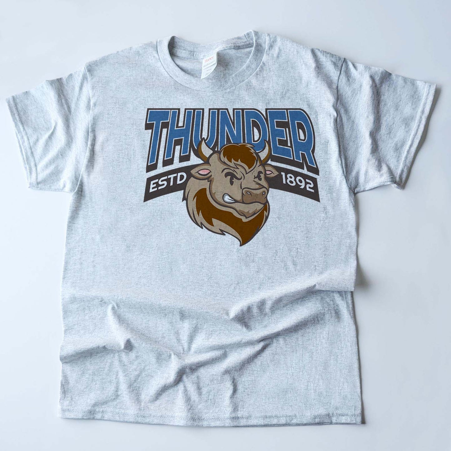 Vintage Bison Varsity Mascot Shirts
