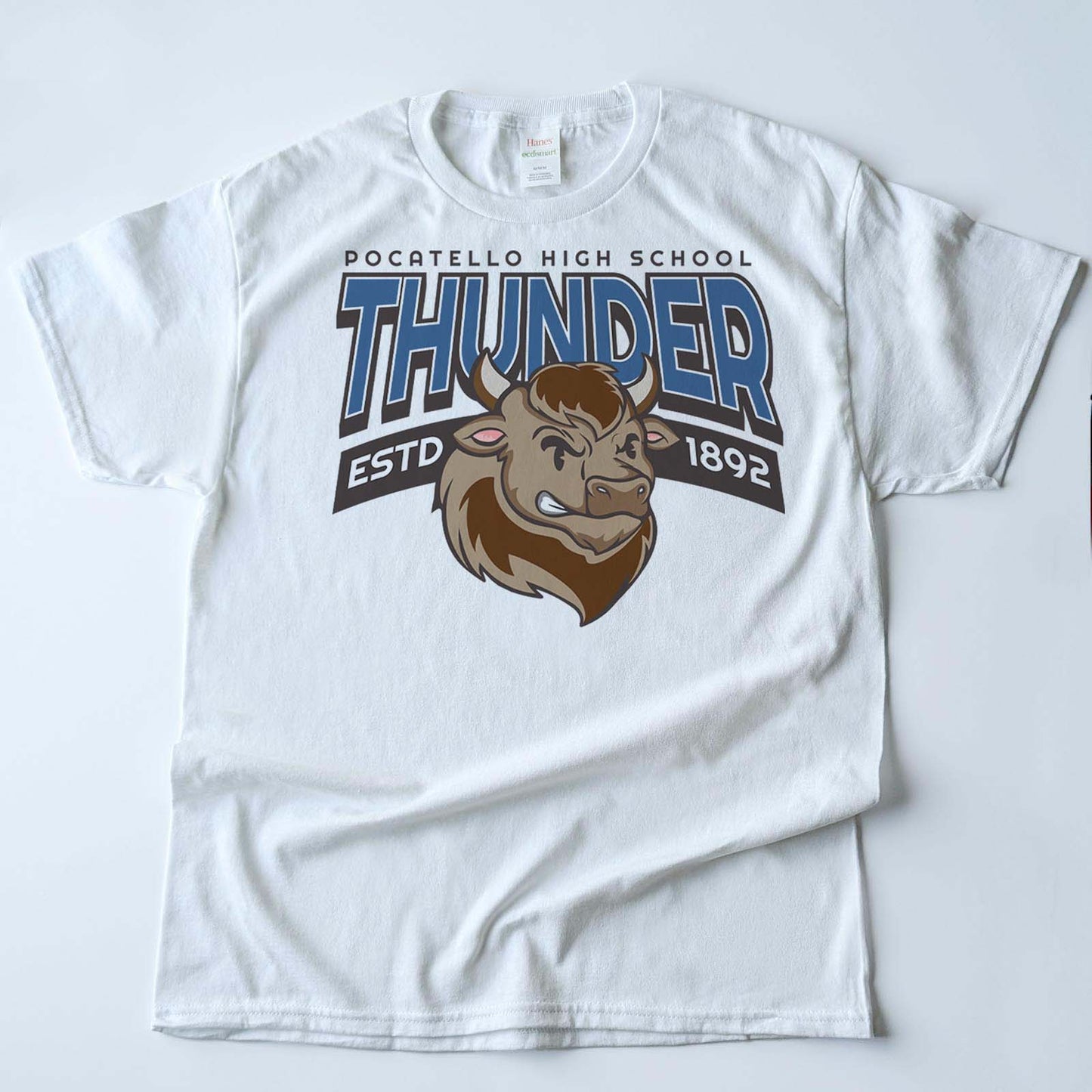 Vintage Bison Varsity Mascot Shirts