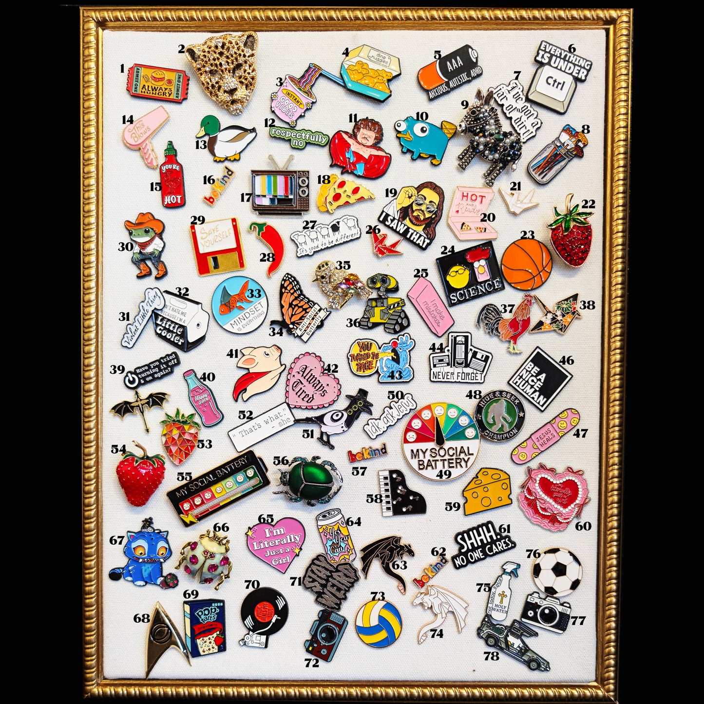 Assorted Pins