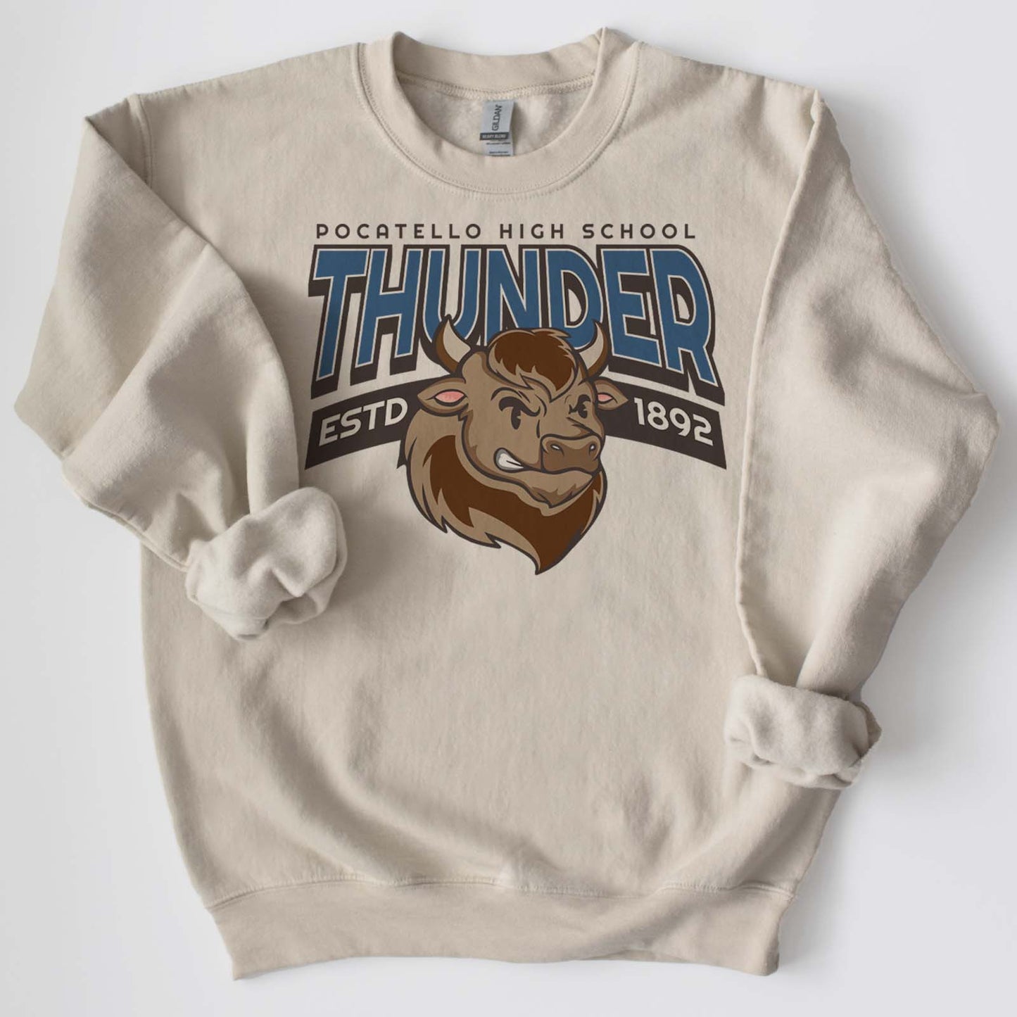 Vintage Bison Varsity Mascot Shirts