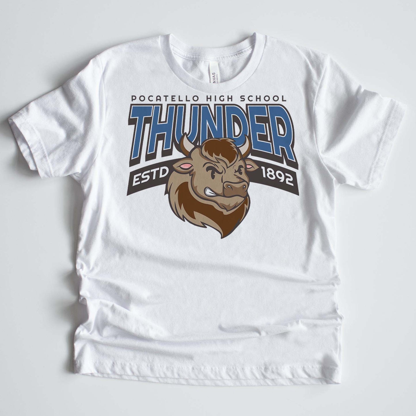Vintage Bison Varsity Mascot Shirts