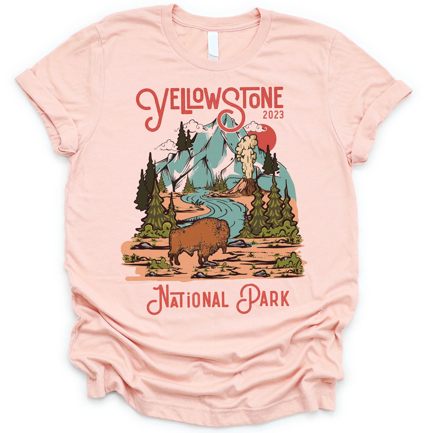 Yellowstone National Park Bison