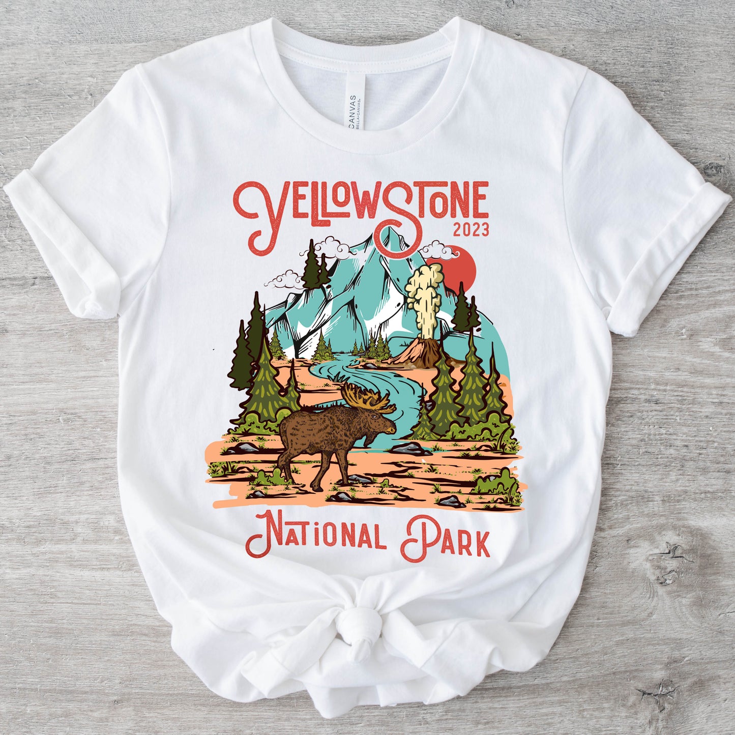 Yellowstone National Park Moose