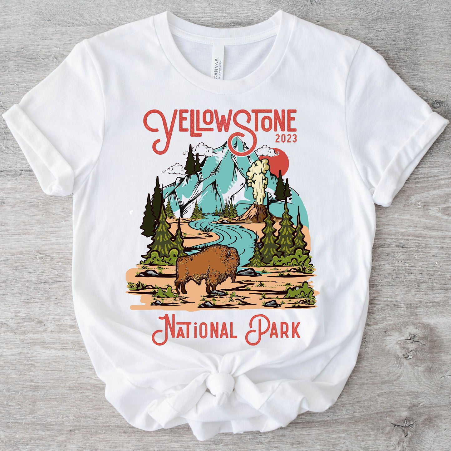 Yellowstone National Park Bison