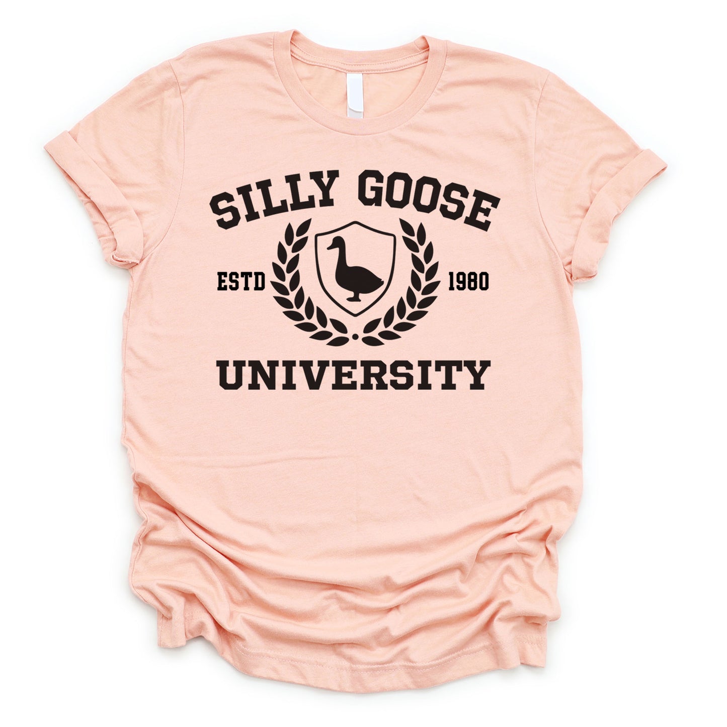 Silly Goose University