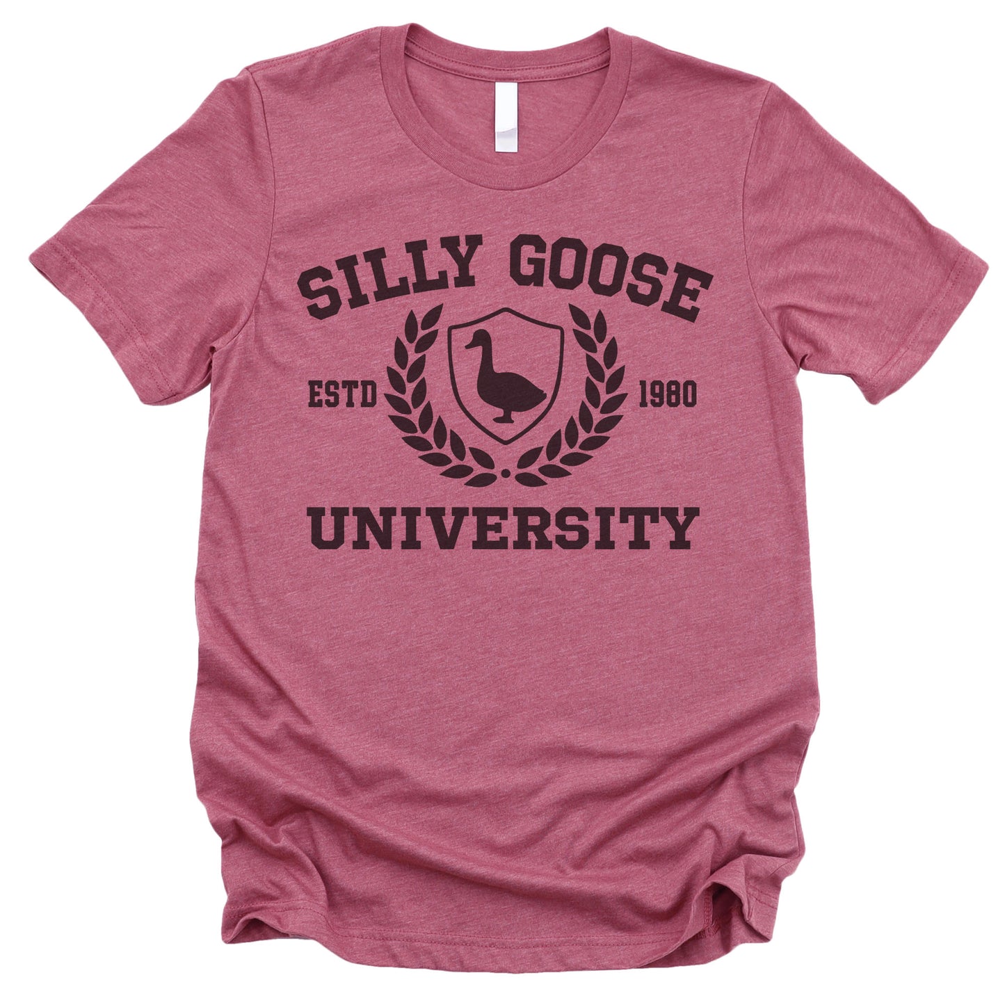 Silly Goose University