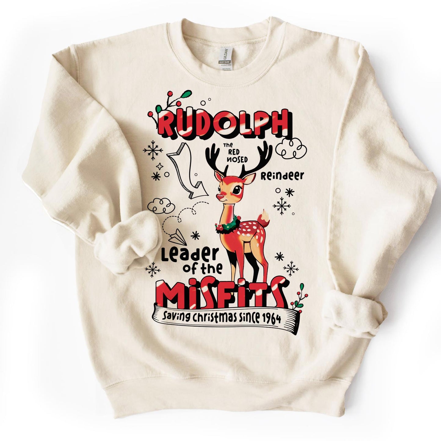 Leader of the Misfits