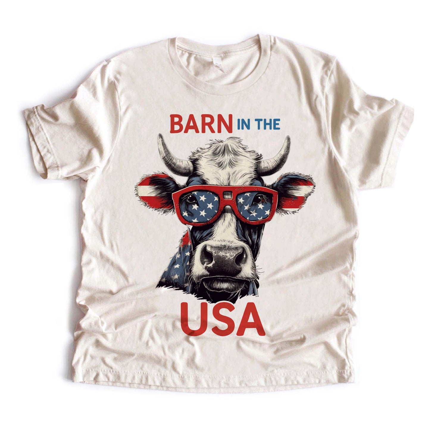 Barn in the USA