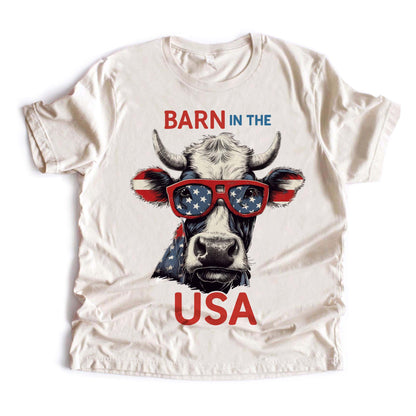 Barn in the USA