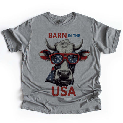 Barn in the USA