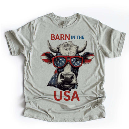 Barn in the USA