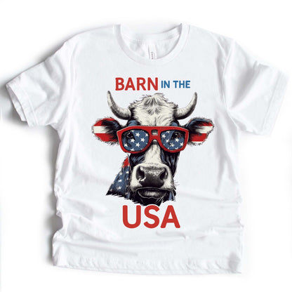 Barn in the USA